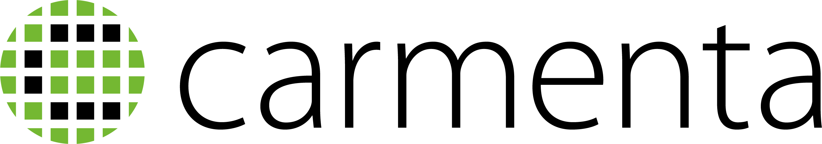 Logo Carmenta - VTM Torino